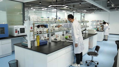 三八节化妆品网络零售额超2.5亿元，济南高新区美妆产业再创新佳绩